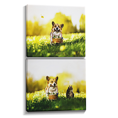 อัพเกรดการตกแต่งบ้านของคุณด้วย IMATEC S Inkjet Polyester Canvas สําหรับการพิมพ์แบบกรอบตามสั่ง