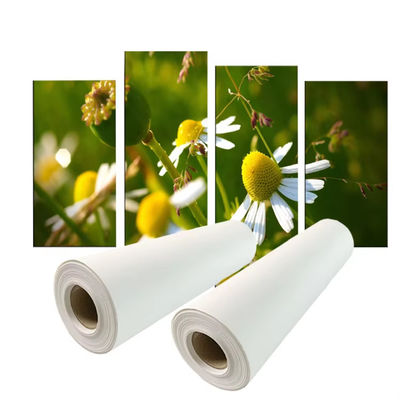 การพิมพ์สี 280gsm โพลีเอสเตอร์ คันวาส รอลล์