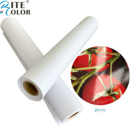 สีพื้น 24 