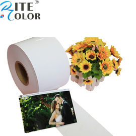 เรซิ่นเคลือบ Minilab กระดาษภาพถ่ายพิมพ์ดิจิตอลอิงค์เจ็ทสำหรับ Epson D700