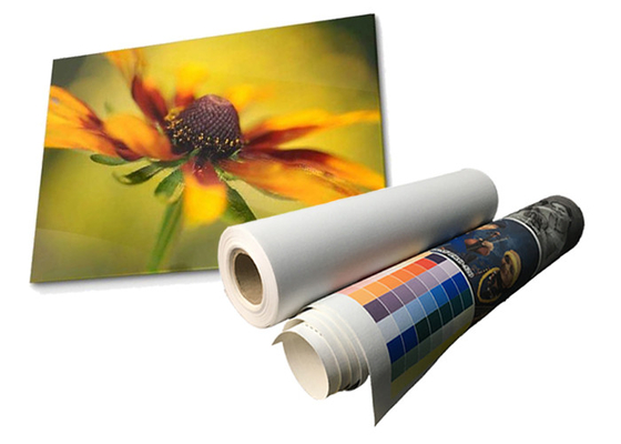ม้วนผ้าใบโพลีเอสเตอร์กันน้ำเคลือบลาเท็กซ์ Eco Solvent 280gsm